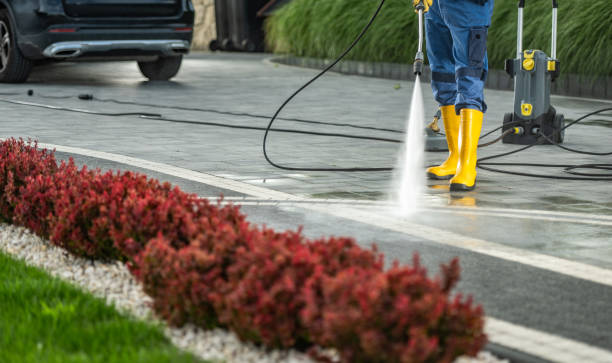 Best Dumpster Area Cleaning  in Orida Gulf Coast University, FL